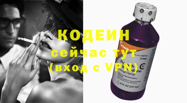 крисы Лабытнанги
