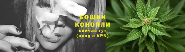 крисы Лабытнанги
