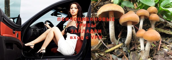 метадон Ладушкин