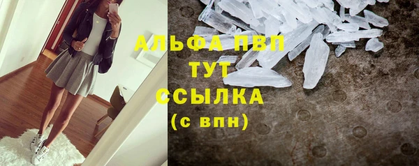 крисы Лабытнанги