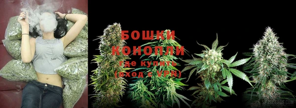 крисы Лабытнанги