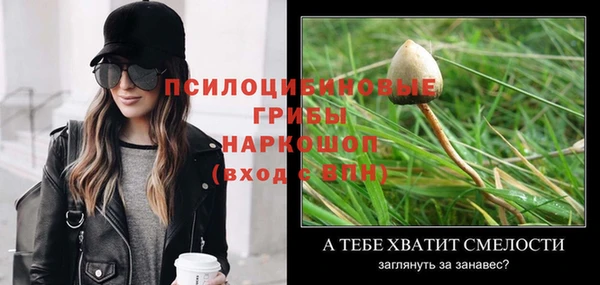 метадон Ладушкин