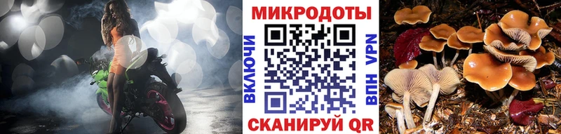 Купить где  Анапа  Псилоцибиновые грибы Magic Shrooms 